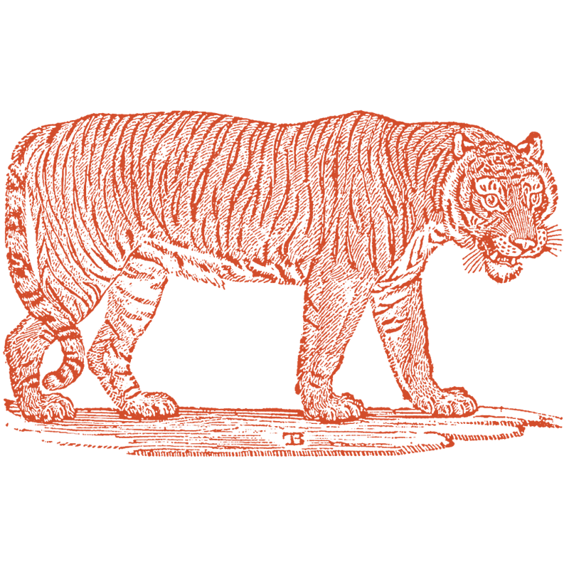 Tiger Investment Services, LLC
